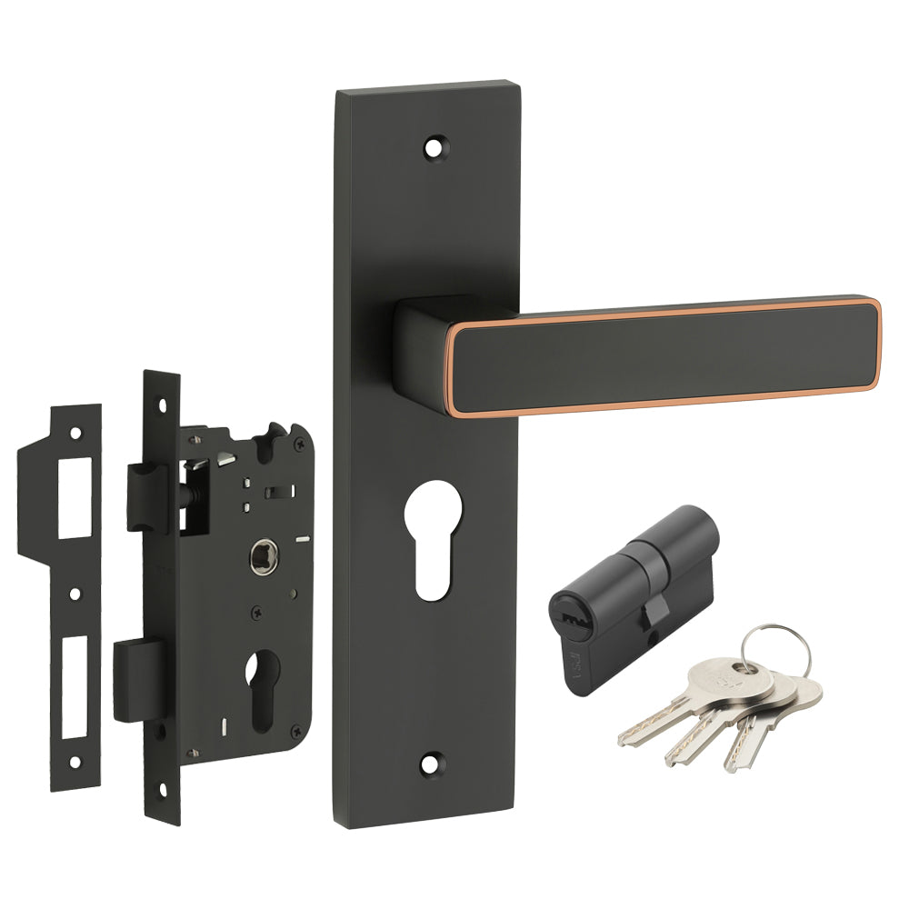 IPSA Clay Iris Handle Series on 8" Plate CYS Lockset with 60mm Both Side Key - Finish BRG